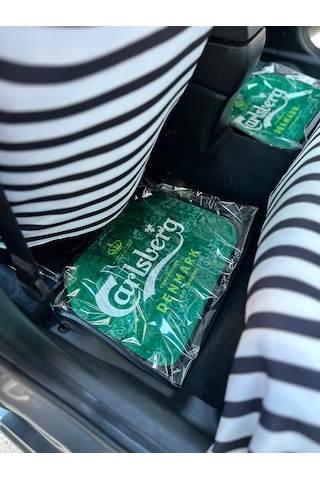 Carls Baskılı Oto Halı Paspas Takımı