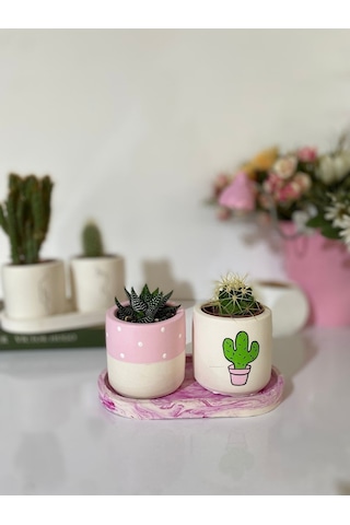 Tabaklı Pembe Kaktüs Desenli Saksı Seti