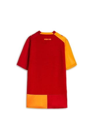Puma Galatasaray 26/27 Çocuk İç Saha Parçalı Forma Çok Renkli