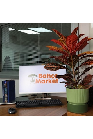Poliwork Ixora Saksı Tabaklı 4 Lt - Çizgi Desenli 190 190 Mm 69365526