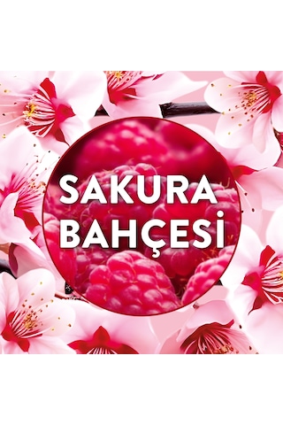 Air Wick Elektrikli Oda Kokusu Yedek Şişe Sakura Bahçesi 3x19 Ml