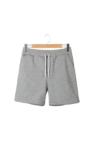 Terapi Men 2'li Erkek Gri - Mavi Basic Regular Fit Şort & Bermuda Gri-mavi