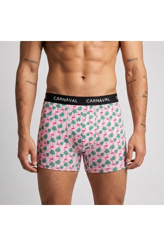 Carnaval Socks Carnaval Fun District Erkek Boxer 3 Lü Set Çoklu