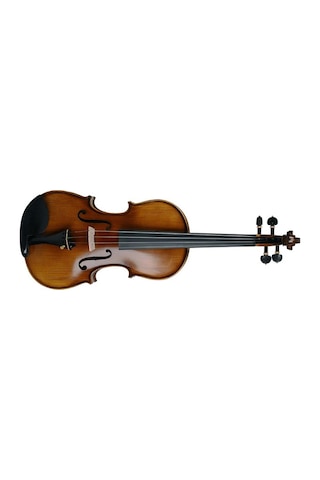 Lichtenberg Vf216 Masif Keman