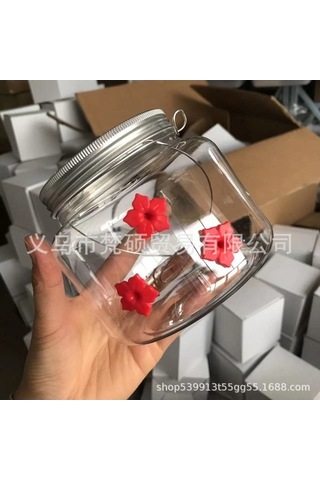 Pazly Evde Kullanım İçin Mükemmel Spot Hummingbird Kuş Besleyici Şişe, Kavanoz, Açık Sinek Kuşu Besleyici Kutulu