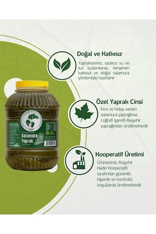 Alaşehir Kadın Kooperatifi Salamura Yaprak 3 KG