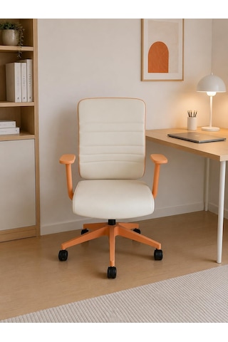 Spark Fine Ofis Sandalyesi Sırt Ergonomik Çalışma Koltuğu Diğer