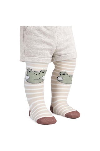 Syncticaret Frog Bebek Erkek Külotlu Çorap, 6-18 Ay, Yeşil Çok Renkli