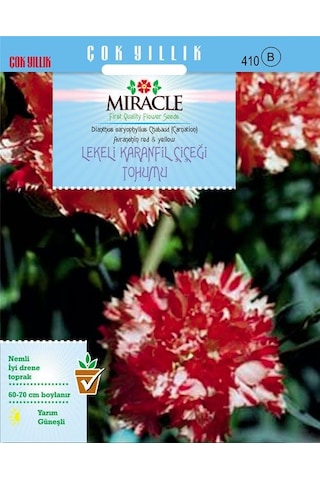Miracle Avranchin Lekeli Karanfil Çiçeği Tohumu 190 Tohum