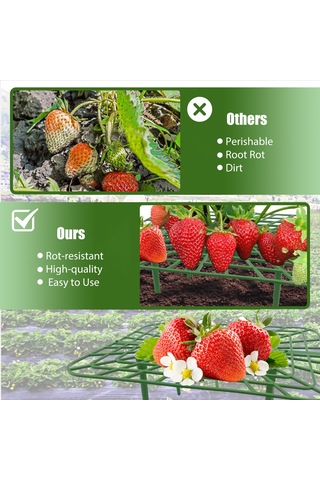 Hangfox 3 Adet Yeşil Plastik Çilek Tutucu, Bitki Büyüme Desteği, Meyve Çürümünü Önleyen Bahçe/çiftlik Ekipmanı