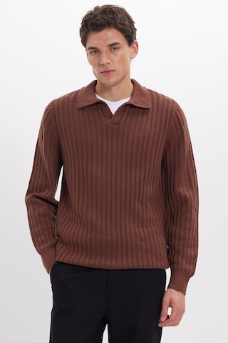 Tudors Erkek Standart Fit Normal Kesim Polo Yaka Kahverengi Kazak-46287