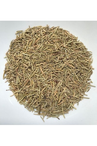 Biberiye Fidanı - Rosmarinus Officinalis 2 Yaşında Tüplü