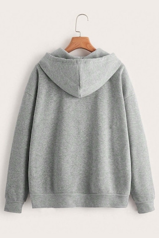 Fermuar Kapüşonlu Sweatshirt Gri