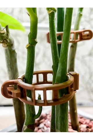 Bitki Klipsi 23mm Kahverengi 500 Lü