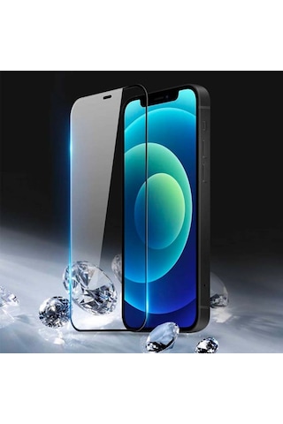 Dux Ducis Apple Uyumlu iPhone 12 Mini 5.4 Tempered Cam Ekran Koruyucu 10D Ful Siyah