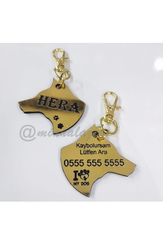 Evcil Hayvan Isimliği Köpek Kafası Köpek Künyesi Köpek Isimliği