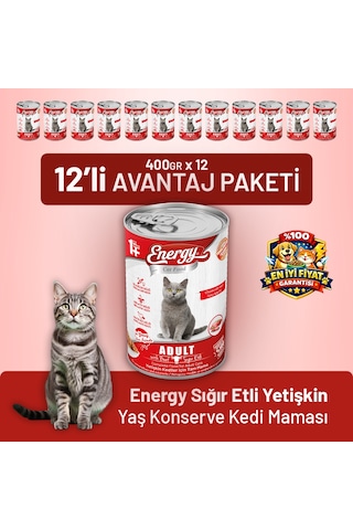 Energy Sığır Etli Yetişkin Yaş Kedi Maması 12 x 400 G
