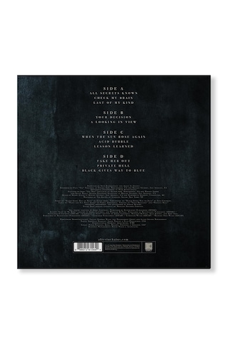 Alice In Chains - Black Gives Way To Blue - 2 X Plak