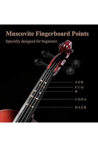 Eastar Eva-2 4/4 Keman Seti Natural