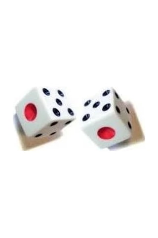 Tavla Zarı - 10 Adet