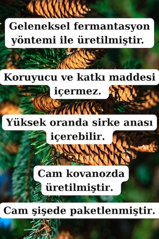 Çam Kozalağı Sirkesi 250 Ml - Doğal Fermantasyon Geleneksel Yöntem Üretim