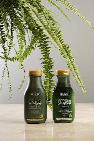 Beaver Tea Tree Shampoo ( Çay Ağacı Şampuanı) 350ml