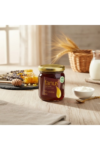 Fanus Arı Sütü Bal Karışımı 250 G Fanus Arı Sütü Bal Karışımı 250 G