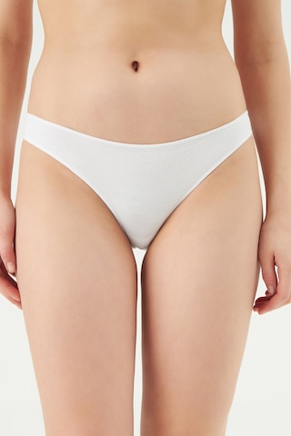 Eros 730 Düşük Bel İzsiz Kadın Slip Külot 3 Lü Paket 3 Renk Çok Renkli