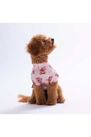 Pinky Bear Ayıcık Desenli Kedi Köpek Sweati - Kedi Köpek Kıyafeti-kedi Köpek Sweati