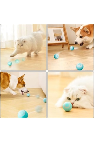 Konyax İnteraktif Kedi Köpek Şarjlı Oyun Topu