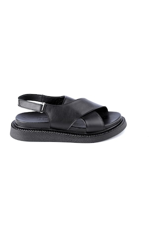 Dexter Ofl1073-311-1 Kadın Sandalet Çok Renkli