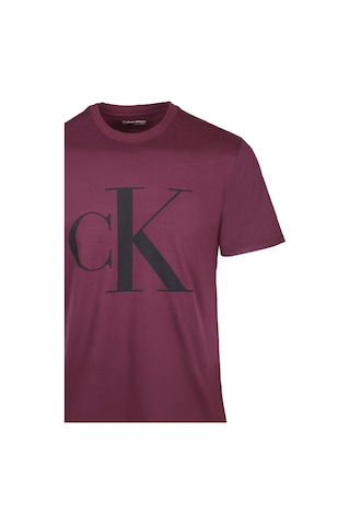 Calvin Klein Calvın Kleın Erkek T-shırt 40hm825-501 Bordo