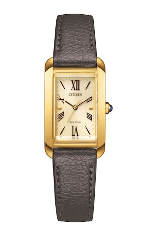 Citizen Eco-drive Ew5622-09p Bordo
