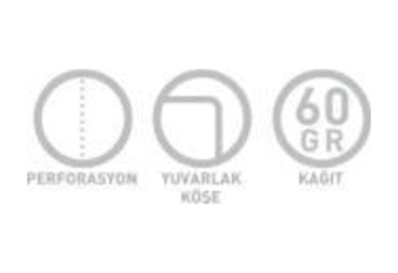 Atatürk A4 Spiralli Karton Kapak Defter 100 Yaprak Kareli Karışık Renklerde 4 Lü Paket