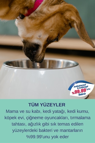 Resteril Pet Koku  Kedi si Köpek Yatağı Dezenfektan Etkiili Yüzey Temizleyici 2 x 750 ML