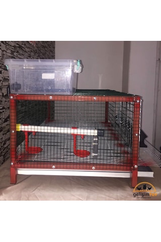 Bıldırcın Kafesi̇ Tek Katlı