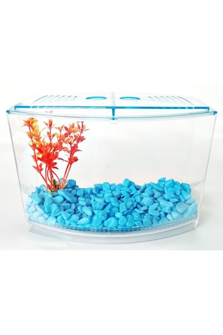 Bölmeli Izgaralı Betta Beta Kabı Tankı Akvaryum 1800 ML 19 x 8 x 13 CM Mavi
