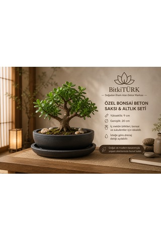 Dekoratif Beton Saksı Ve Altlık Seti 20 Cm El Yapımı Bonsai Saksısı Sukulent Saksısı İç Mekan Çiçek Saksısı -