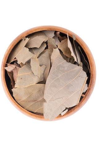 Avokado Yaprağı 100gr Taze Ve Kurutulmuş