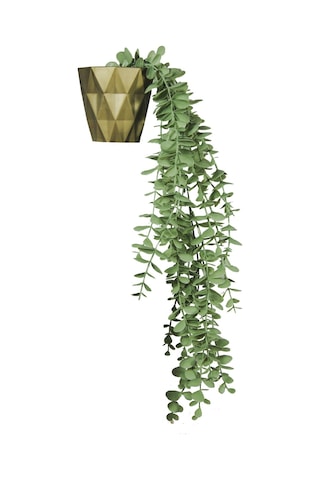 Yapay Çiçek Elmas Gold Saksıda Pastel Yeşili Okaliptus Sarkıtı Yeşil