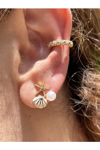 Bymerve Bym531 Çift Midye Model Mini İncili ve Taşlı Kadın Çelik Küpe Gold