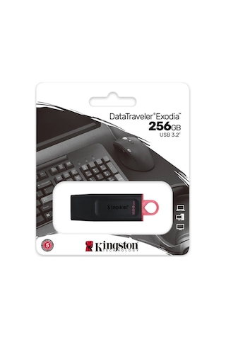 Kingston DTX/256GB DataTraveler Exodia 256 GB USB 3.2 Gen 1 Flash Bellek