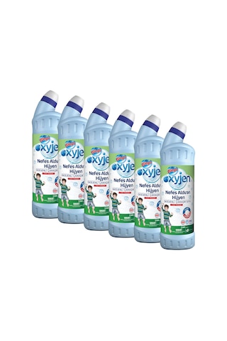 Bingo Oksijen Çam Kokulu Ekonomi Paket Çamaşır Suyu 6 x 750 ML