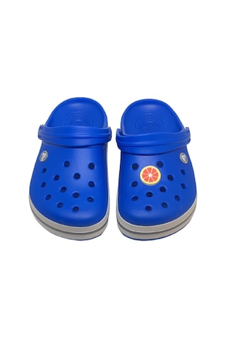 Crocs Terlik Süsü & Renkli Aksesuar Jibbitz (475023139)