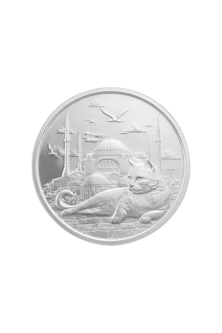 Agakulche İstanbul Kedisi Gümüş Sikke Coin