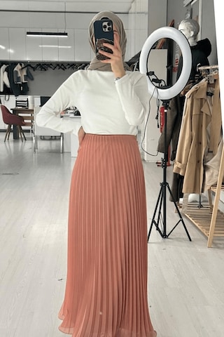 Pudra Pembe Uzun Şifon Etek Pembe - Pudra