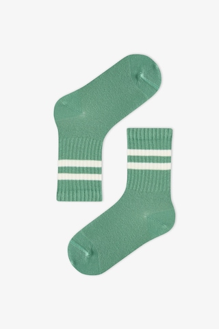 Penti Erkek Çocuk Greeny Çizgili Pamuklu 3 Çift Soket Çorap Çok Renkli