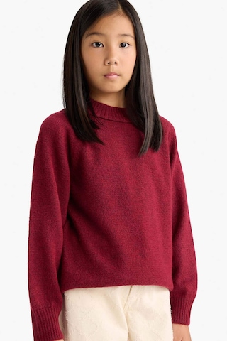 Defacto Kız Çocuk Bisiklet Yaka Triko Kazak F2755a825wnbr205 Bordo