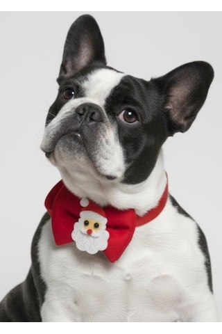 Rudolph Köpek Papyon Tasması Kırmızı Fiyonk Boyun Aksesuarı Noel Temalı Köpek Süsü Orta Ve Büyük Irklar İçin