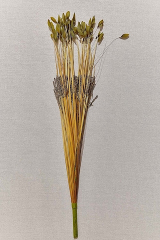 Pasabahce Grass 75 Cm Yeşil - 1 Adet